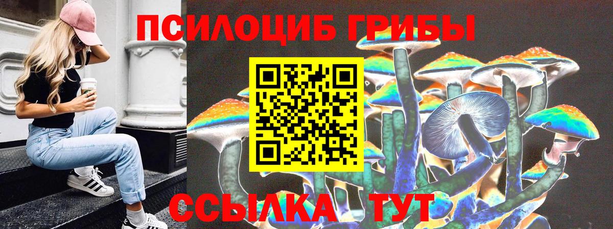 Псилоцибиновые грибы мухоморы  Вход с VPN  Барабинск 